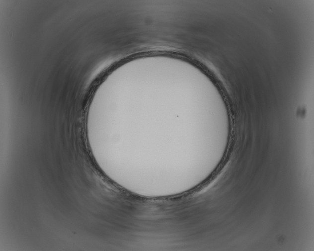 X0000092071163200710101012