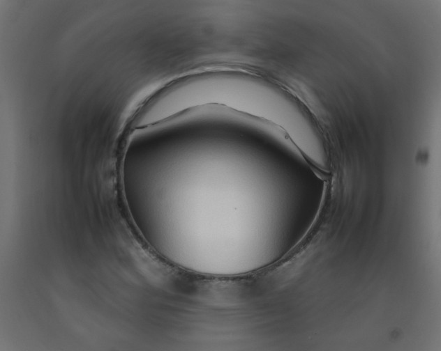 X0000092071164200710101012