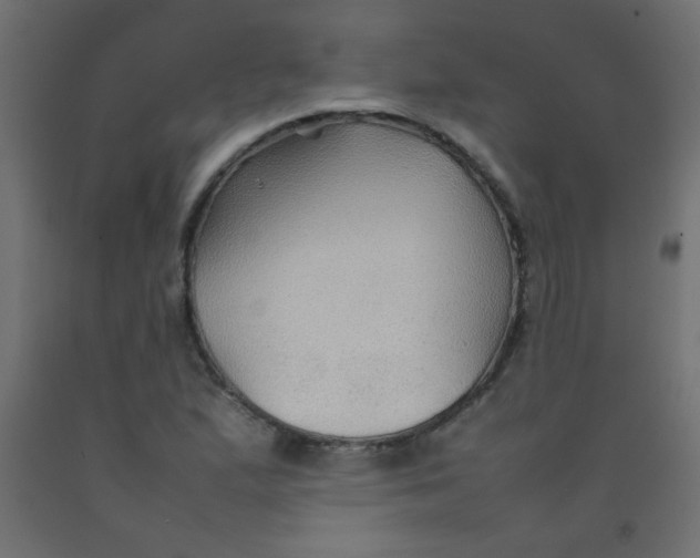 X0000092071167200710101012
