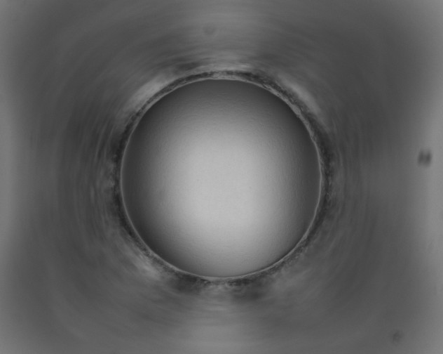 X0000092071169200710101012