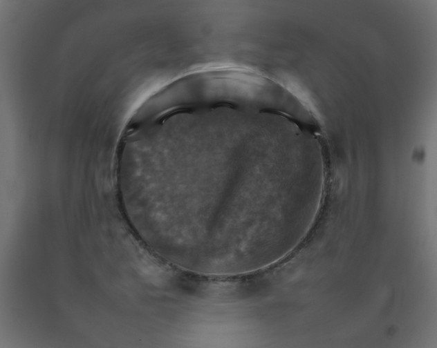 X0000092071173200710101012