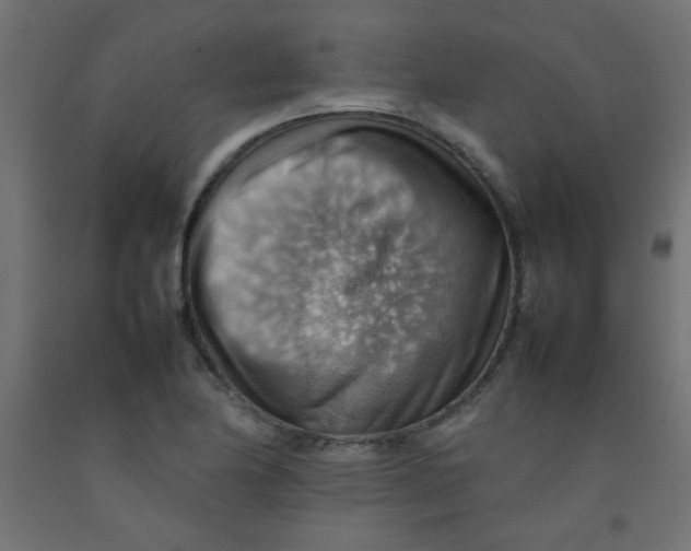 X0000092071174200710101012