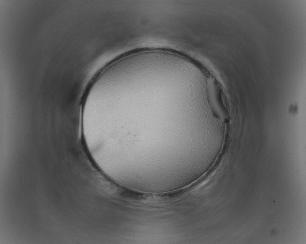 X0000092071175200710101012
