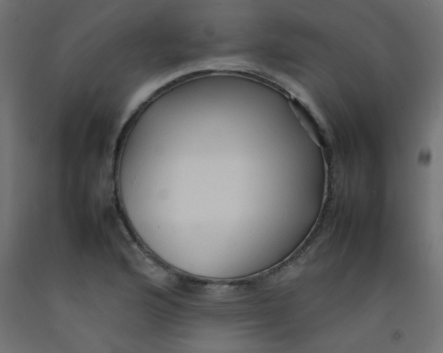 X0000092071176200710101012