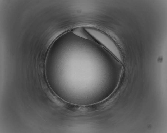 X0000092071177200710101012