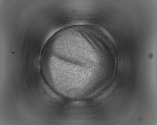 X0000092071178200710101012