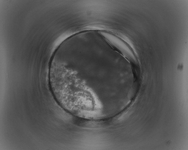 X0000092071179200710101012
