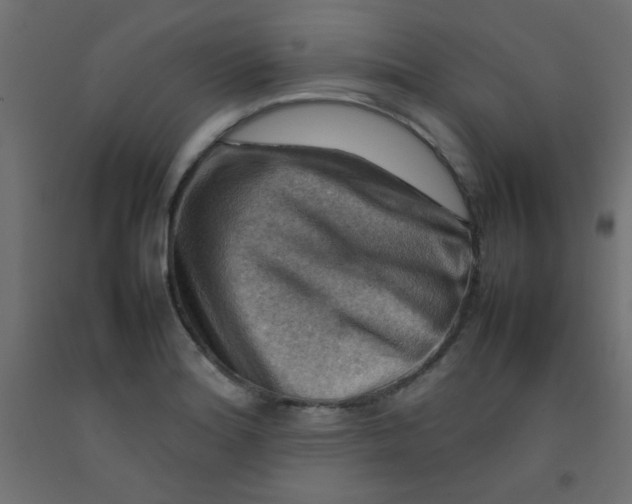 X0000092071180200710101012