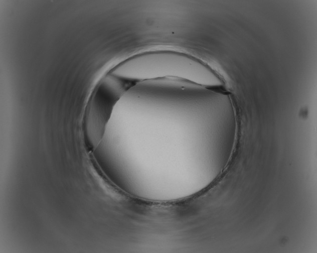 X0000092071181200710101012
