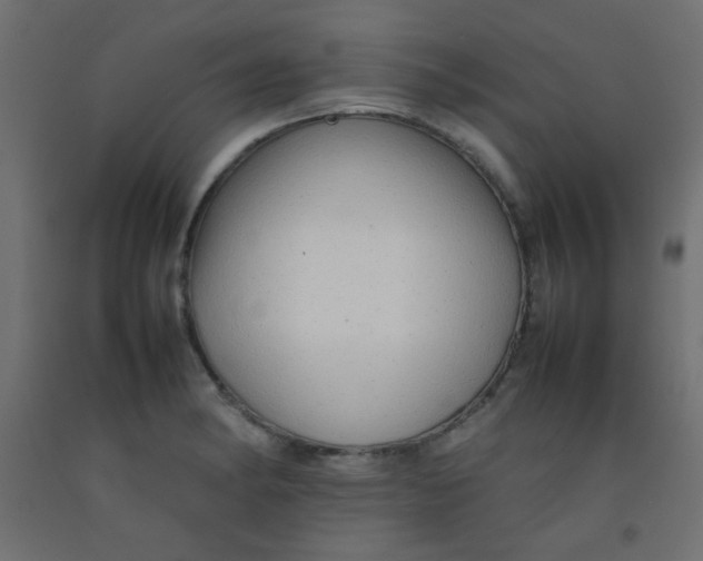 X0000092071182200710101012