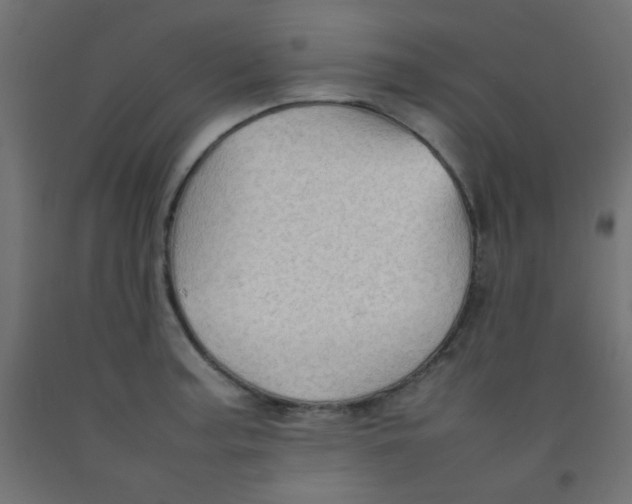 X0000092071187200710101012