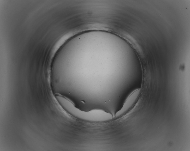 X0000092071188200710101012