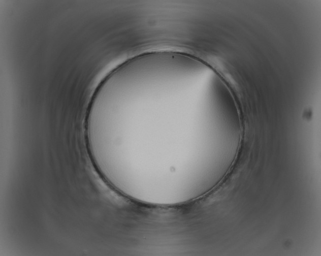 X0000092071189200710101012