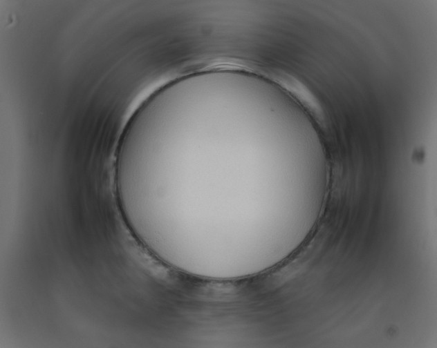 X0000092071190200710101012
