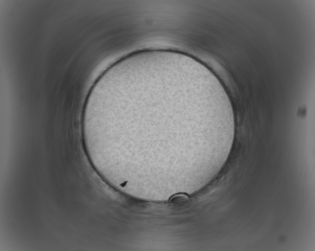 X0000092071191200710101012