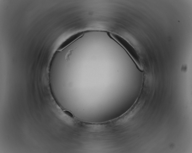 X0000092071192200710101012