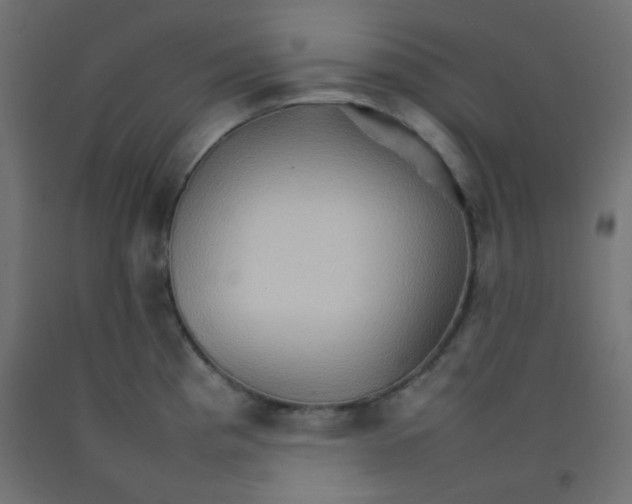 X0000092071193200710101012