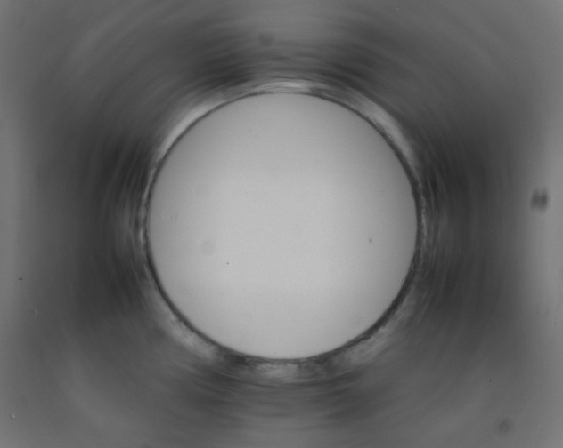 X0000092071194200710101012