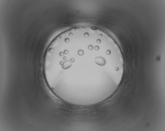 X0000092071195200710101012