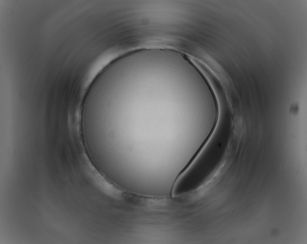 X0000092071196200710101012