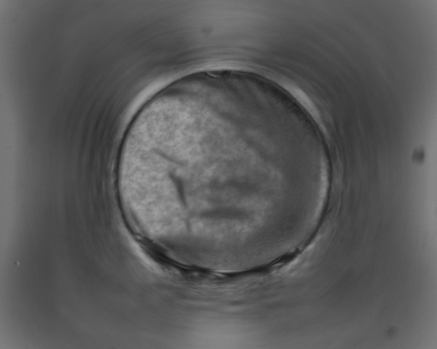 X0000092071197200710101012