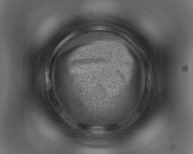 X0000092071198200710101012