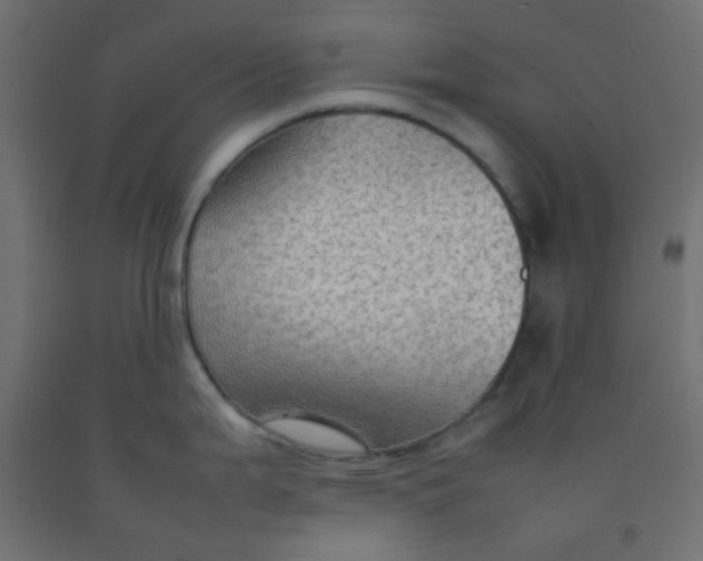 X0000092071199200710101012