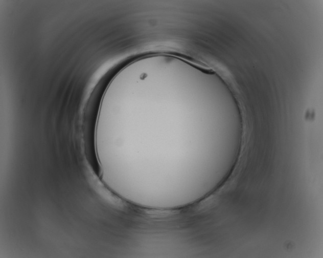 X0000092071200200710101012
