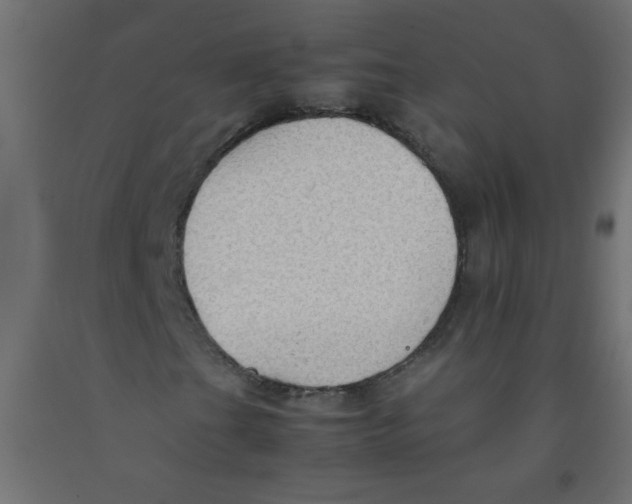 X0000092071201200710101011