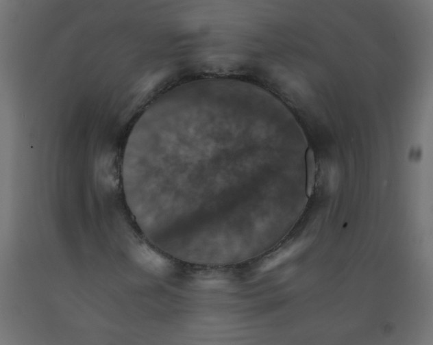 X0000092071202200710101011