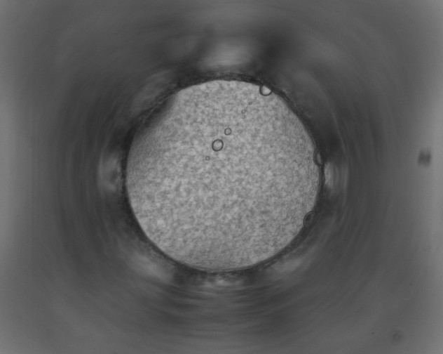 X0000092071203200710101011