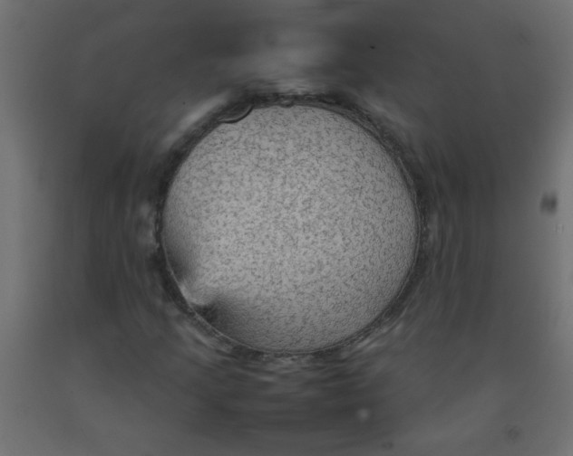 X0000092071205200710101011