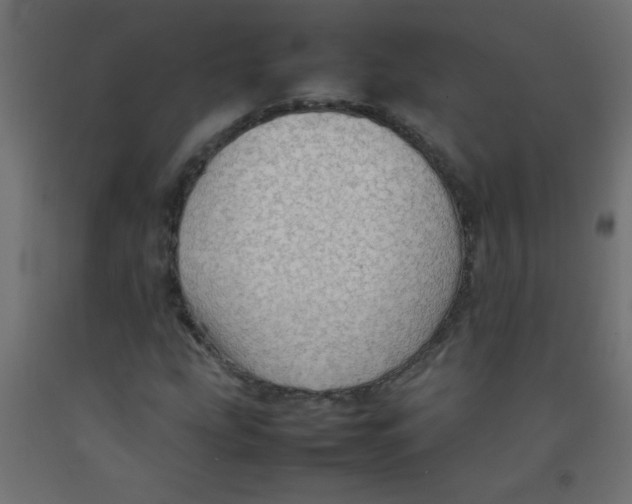 X0000092071207200710101011
