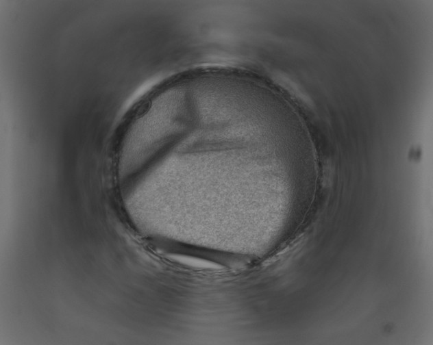 X0000092071208200710101011