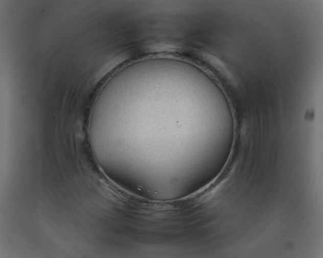 X0000092071209200710101011