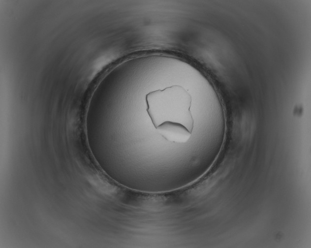 X0000092071210200710101011