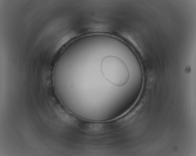 X0000092071211200710101011