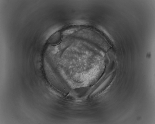 X0000092071213200710101011