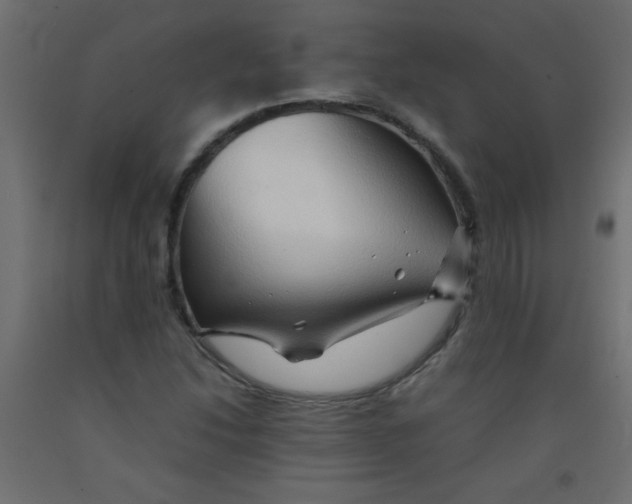 X0000092071214200710101011