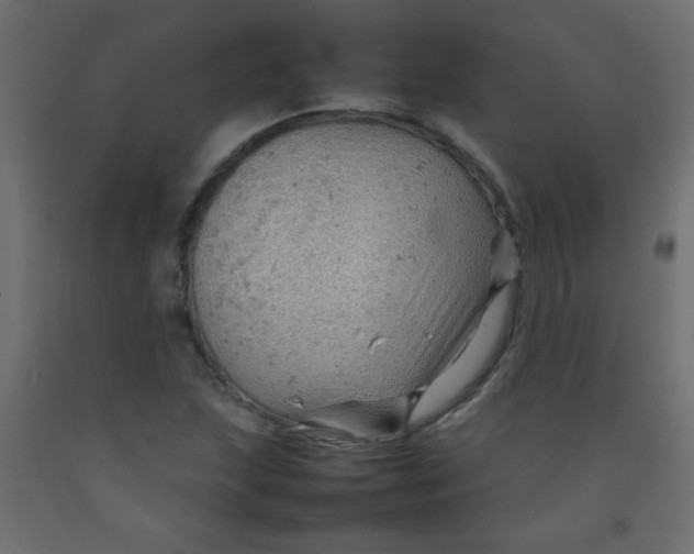 X0000092071215200710101011