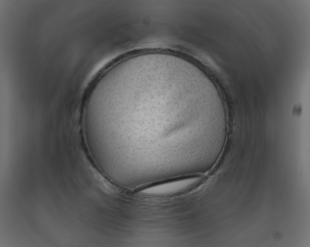 X0000092071216200710101011