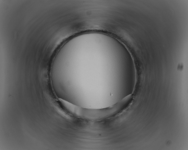 X0000092071218200710101011