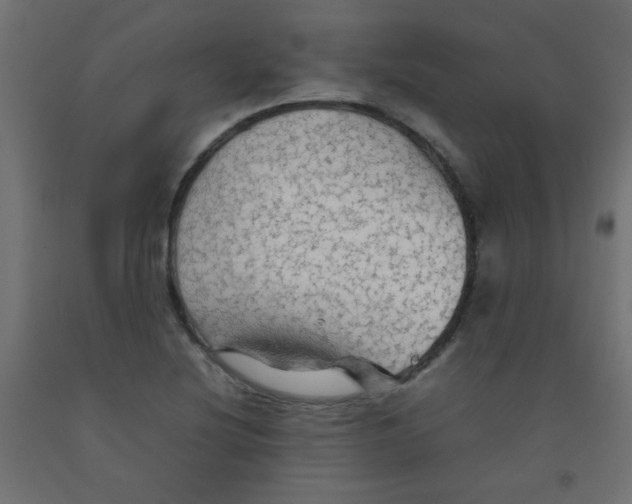 X0000092071220200710101011
