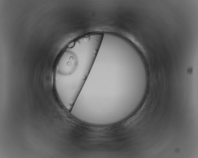 X0000092071221200710101011