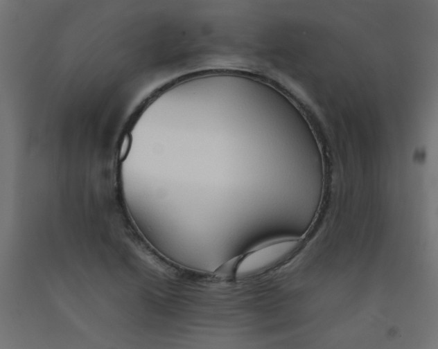 X0000092071222200710101011