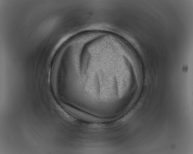 X0000092071224200710101011