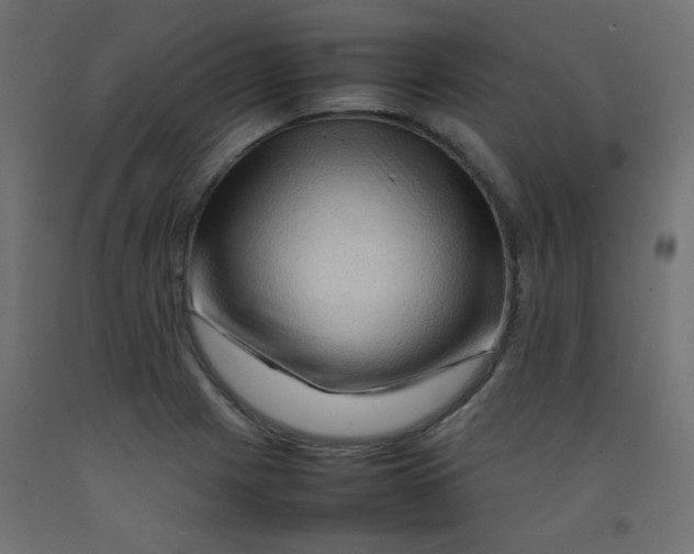 X0000092071225200710101011