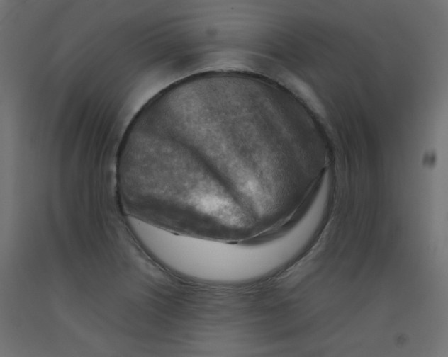 X0000092071226200710101011