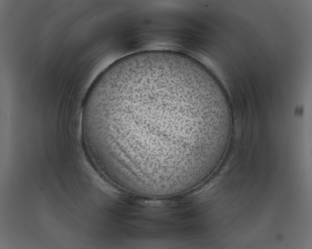 X0000092071227200710101011
