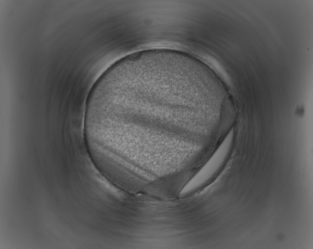 X0000092071228200710101011